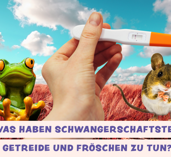 Schwangerschaftstests